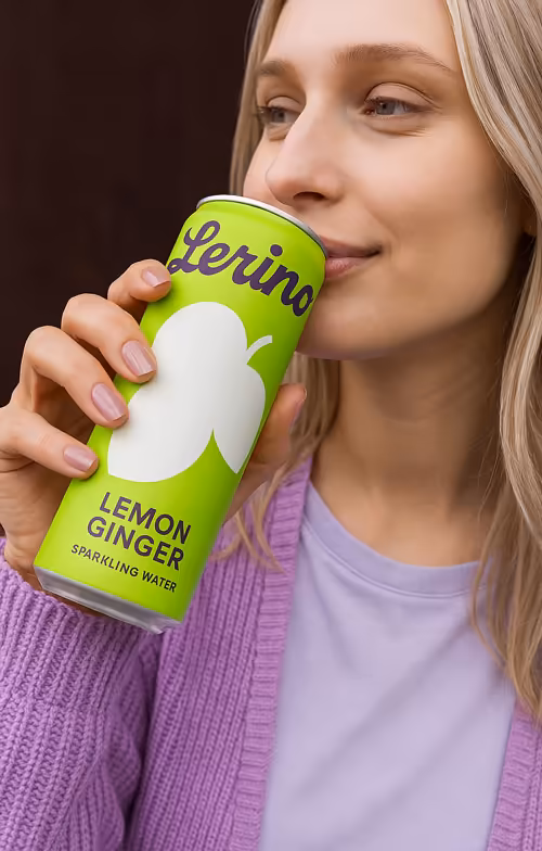 Projects Branding Lerino